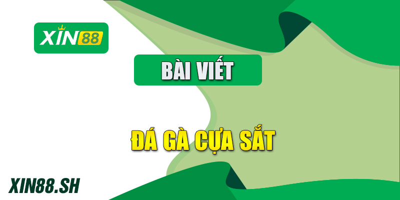 đá gà cựa sắt​